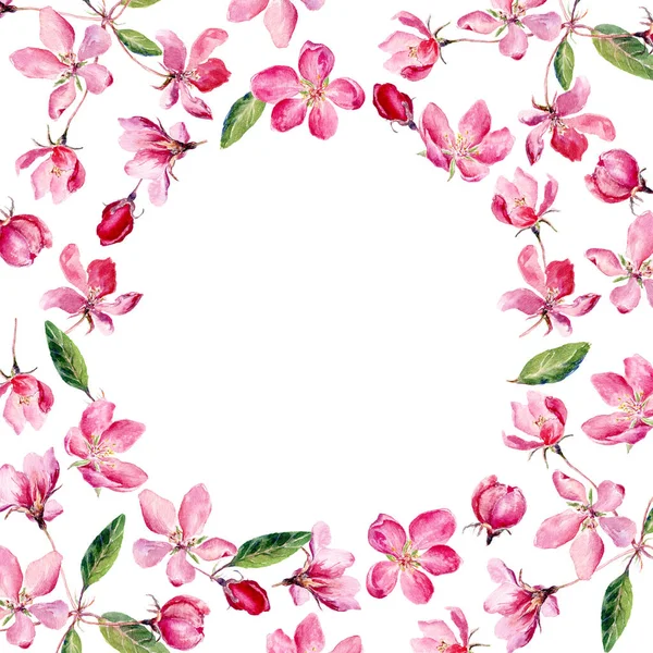 Hand drawn round frame of watercolor Apple Blossom. Watercolor illustration wreath of apple and cherry flowers. Can be used as a greeting card for background, birthday, mother\'s day and so on.