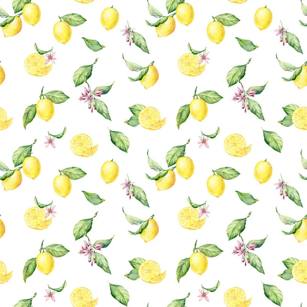 Lemon Acquerello Modello Senza Soluzione Continuità Bella Trama Disegnata Mano — Foto Stock