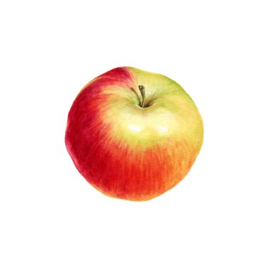 Elle çizilmiş kırmızı elma meyvesi. Geçmiş, doğum günü, anneler günü vesaire için tebrik kartı olarak kullanılabilir. Web sayfaları için romantik arka plan, düğün davetiyeleri, duvar kağıtları.