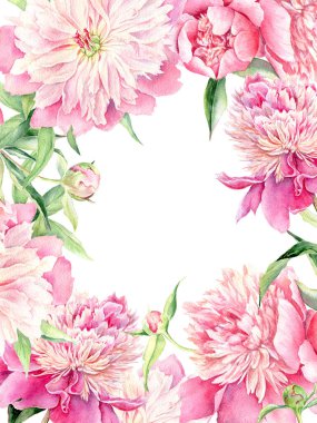 Suluboya pembe şakayık çerçeveli. Doğal elementlerle el çizimi çelenkler: çiçek ve yapraklar. Eski tasarım