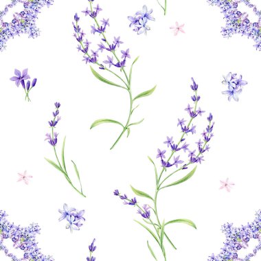 Beyaz arka planda kusursuz lavanta çiçeği deseni. Lavanta ile suluboya deseni. Güzel el çizimi dokusu. Web sayfaları için romantik arka plan, düğün davetiyeleri, tekstil, duvar kağıdı.