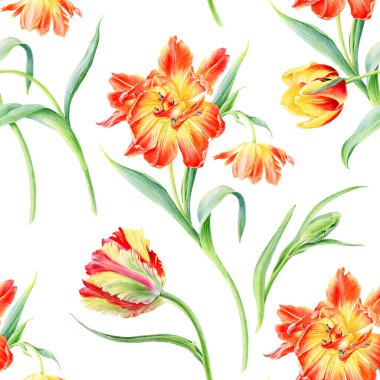 Yaz mevsimi çiçekleri laleler sulu boya desenleri. Güzel el çizimi dokusu. Web sayfaları için romantik arka plan, düğün davetiyeleri, tekstil, duvar kağıdı.