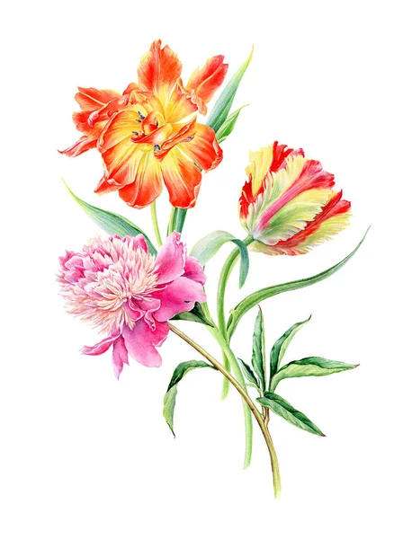 Handgezeichnetes Aquarell Sunny Tulpen Und Pfingstrosen Blumen Kann Als Grußkarte — Stockfoto