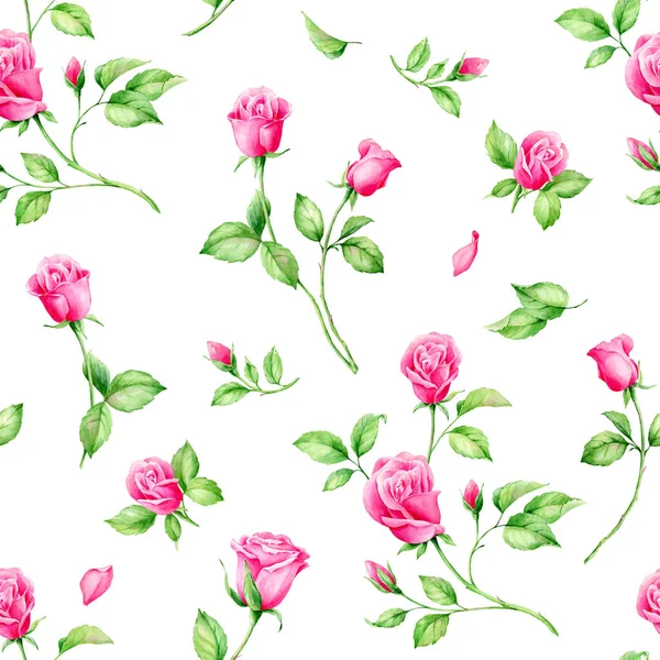 Zomer Tuin Bloemen English Roses Aquarel Naadloos Patroon Prachtige Handgetekende — Stockfoto