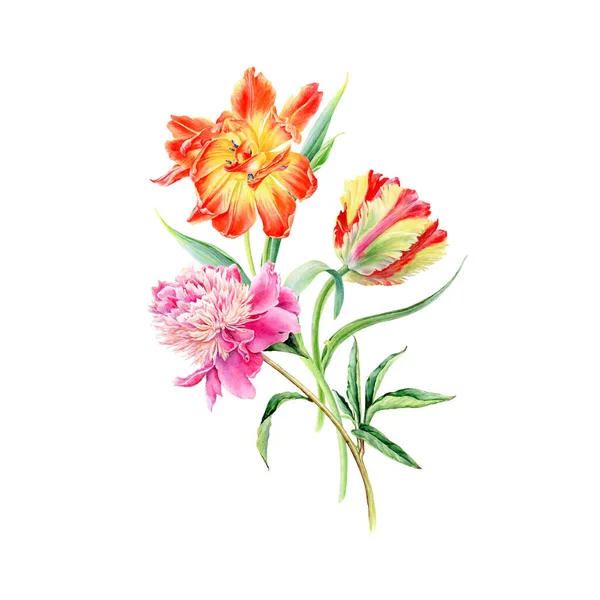 Handgezeichnete Aquarell Sunny Tulpen Und Pfingstrosen Blumen Romantischer Hintergrund Für — Stockvektor