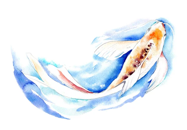Ilustración acuarela dibujada a mano de peces Koi Carp sobre fondo blanco . — Foto de Stock