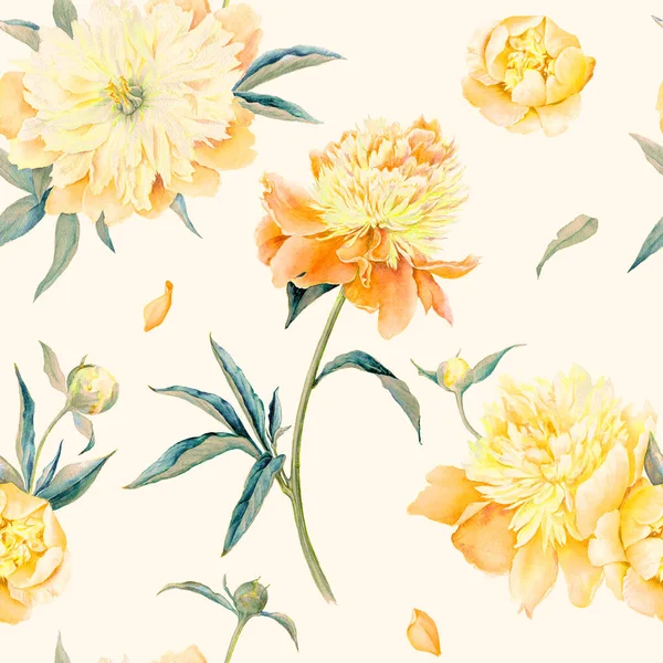 Flores de jardín de verano Peonías acuarela patrón sin costuras. Hermosa textura dibujada a mano . —  Fotos de Stock