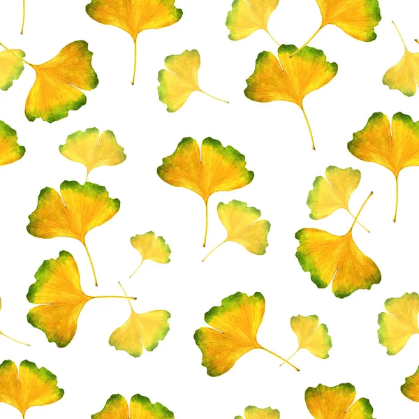 Warna air tak berjahit pola Ginkgo biloba. Latar belakang untuk halaman web, tekstil, wallpaper. — Stok Foto