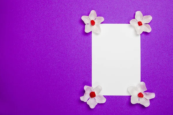 White flowers with white blank paper on a purple background