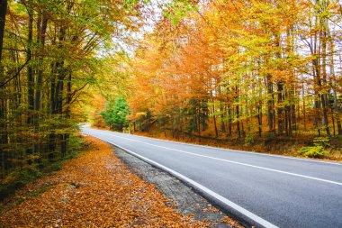 Dağ yolu Romanya 'nın Karpat Dağları' nın güney kesiminden geçiyor