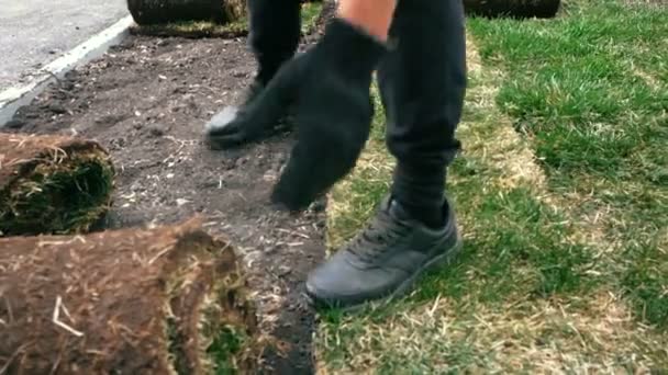 Slow motion lawn stacker lays grass rolls on fresh ground. Gardening process — Stock Footage Slow Motion Lawn Stacker Lays Grass Rolls Fresh Ground Gardening Video Clip