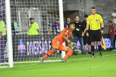 Florida Kupası 2020: S.E Palmeiras - Atletico Nacional maçı 15 Ocak 2020 Çarşamba günü Orlando Florida Exploria Stadyumu 'nda. Fotoğraf: Marty Jean-Louis