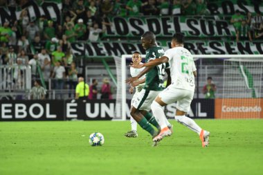Florida Kupası 2020: S.E Palmeiras - Atletico Nacional maçı 15 Ocak 2020 Çarşamba günü Orlando Florida Exploria Stadyumu 'nda. Fotoğraf: Marty Jean-Louis