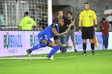 Florida Kupası 2020: S.E Palmeiras - Atletico Nacional maçı 15 Ocak 2020 Çarşamba günü Orlando Florida Exploria Stadyumu 'nda. Fotoğraf: Marty Jean-Louis