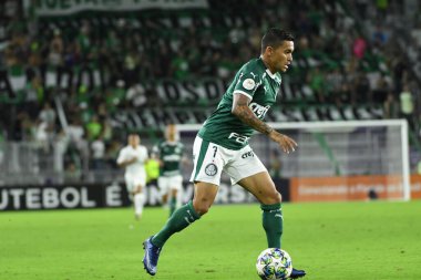 Florida Kupası 2020: S.E Palmeiras - Atletico Nacional maçı 15 Ocak 2020 Çarşamba günü Orlando Florida Exploria Stadyumu 'nda. Fotoğraf: Marty Jean-Louis