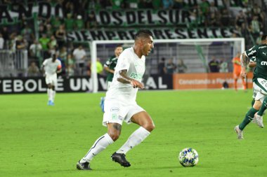 Florida Kupası 2020: S.E Palmeiras - Atletico Nacional maçı 15 Ocak 2020 Çarşamba günü Orlando Florida Exploria Stadyumu 'nda. Fotoğraf: Marty Jean-Louis