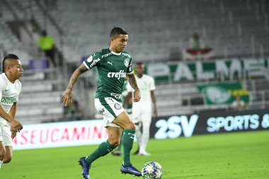 Florida Kupası 2020: S.E Palmeiras - Atletico Nacional maçı 15 Ocak 2020 Çarşamba günü Orlando Florida Exploria Stadyumu 'nda. Fotoğraf: Marty Jean-Louis