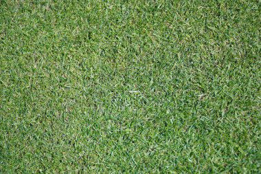 4 Mart 2020 'de Orlando Florida' daki Bay Hill 'de düzenlenen 2020 Arnold Palmer Davetiyesi' nde açılış etkinliği. Fotoğraf: Marty Jean-Louis