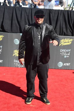 29 Mart 2019 Cumartesi günü Las Vegas 'taki Orleans Resort' ta düzenlenen 34. Yıldız Ödülleri sırasında çekilen kırmızı halı fotoğrafları. Fotoğraf: Marty Jean-Louis