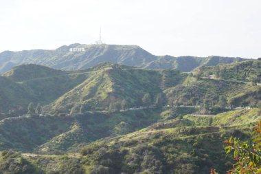 Fotoğraf: Marty Jean-Louis