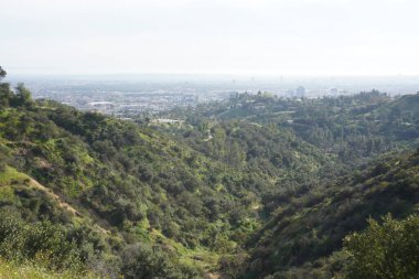 Fotoğraf: Marty Jean-Louis