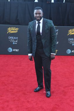 29 Mart 2019 Cumartesi günü Las Vegas 'taki Orleans Resort' ta düzenlenen 34. Yıldız Ödülleri sırasında çekilen kırmızı halı fotoğrafları. Fotoğraf: Marty Jean-Louis