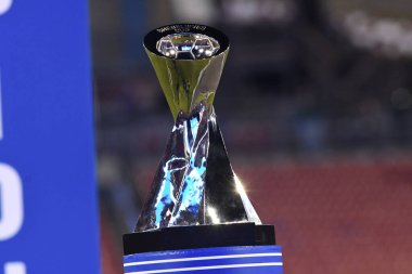 SheBelieves Kupası, 5 Mart 2019 tarihinde Tampa Florida Raymond James Stadyumu 'nda İngiltere' yi şampiyon ilan etmiştir. Fotoğraf: Marty Jean-Louis