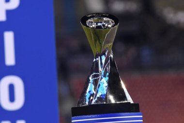 SheBelieves Kupası, 5 Mart 2019 tarihinde Tampa Florida Raymond James Stadyumu 'nda İngiltere' yi şampiyon ilan etmiştir. Fotoğraf: Marty Jean-Louis