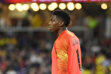 ABD Erkekler Milli Takımı 21 Mart 2019 tarihinde Orlando Florida 'daki Orlando City Stadyumu' nda Ekvador Milli Takımı 'na ev sahipliği yaptı. Fotoğraf: Marty Jean-Louis