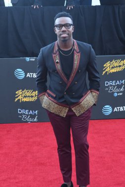 29 Mart 2019 Cumartesi günü Las Vegas 'taki Orleans Resort' ta düzenlenen 34. Yıldız Ödülleri sırasında çekilen kırmızı halı fotoğrafları. Fotoğraf: Marty Jean-Louis