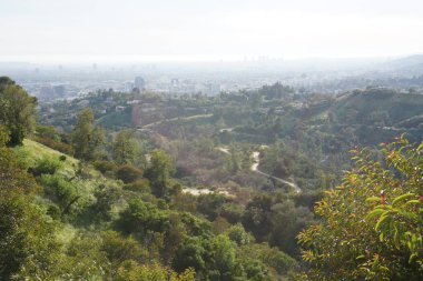 Fotoğraf: Marty Jean-Louis