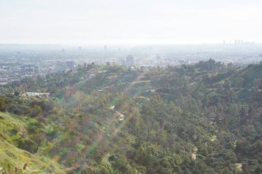 Fotoğraf: Marty Jean-Louis