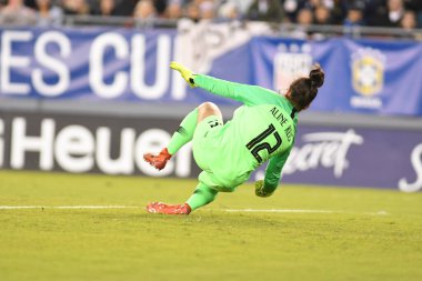 SheBelieves Kupası Finali, 5 Mart 2019 'da Tampa Florida Raymond James Stadyumu' nda ABD ile Brezilya arasında oynanacak. Fotoğraf: Marty Jean-Louis