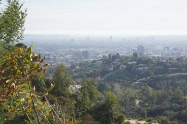 Fotoğraf: Marty Jean-Louis