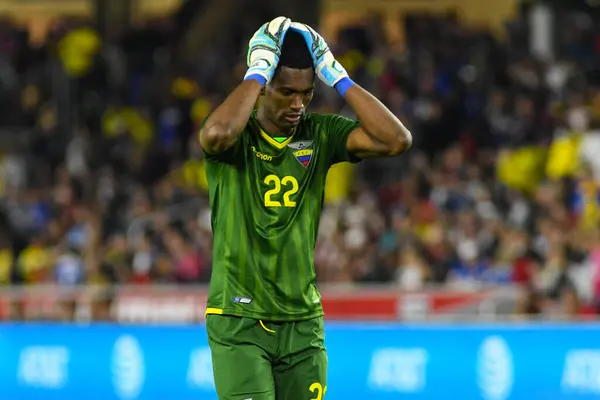 ABD Erkekler Milli Takımı 21 Mart 2019 tarihinde Orlando Florida 'daki Orlando City Stadyumu' nda Ekvador Milli Takımı 'na ev sahipliği yaptı. Fotoğraf: Marty Jean-Louis