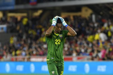 ABD Erkekler Milli Takımı 21 Mart 2019 tarihinde Orlando Florida 'daki Orlando City Stadyumu' nda Ekvador Milli Takımı 'na ev sahipliği yaptı. Fotoğraf: Marty Jean-Louis