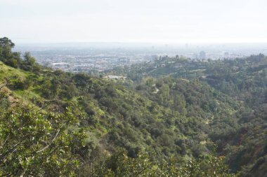 Fotoğraf: Marty Jean-Louis