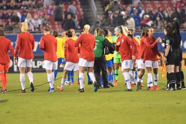 SheBelieves Kupası Finali, 5 Mart 2019 'da Tampa Florida Raymond James Stadyumu' nda ABD ile Brezilya arasında oynanacak. Fotoğraf: Marty Jean-Louis