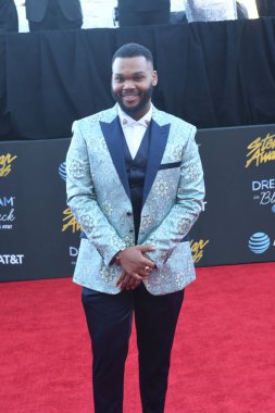 29 Mart 2019 Cumartesi günü Las Vegas 'taki Orleans Resort' ta düzenlenen 34. Yıldız Ödülleri sırasında çekilen kırmızı halı fotoğrafları. Fotoğraf: Marty Jean-Louis