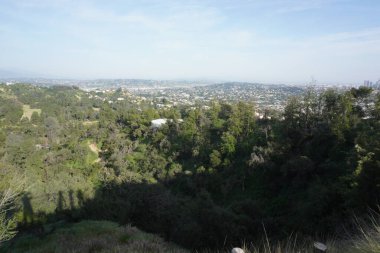 Fotoğraf: Marty Jean-Louis