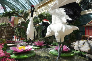 Nevada 'nın güzel şehri Las Vegas' ın seyahat görüntüleri. Fotoğraf: Marty Jean-Louis