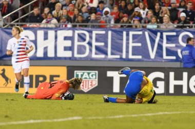 SheBelieves Kupası Finali, 5 Mart 2019 'da Tampa Florida Raymond James Stadyumu' nda ABD ile Brezilya arasında oynanacak. Fotoğraf: Marty Jean-Louis