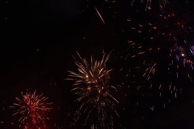 Gece gökyüzünde parlak havai fişekler Fotoğraf: Marty Jean-Louis