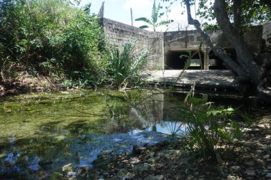 Ochos Rios Jamaica 'nın yaz günündeki güzel manzarası. Fotoğraf: Marty Jean-Louis