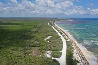 Fotoğraf: Marty Jean-Louis