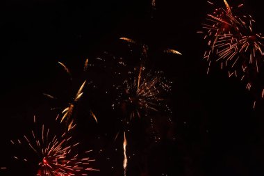 Gece gökyüzünde parlak havai fişekler Fotoğraf: Marty Jean-Louis