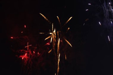 Gece gökyüzünde parlak havai fişekler Fotoğraf: Marty Jean-Louis