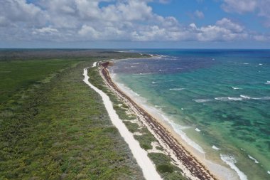 Cozumel Sahnesi 5 Haziran 2019 'da Meksika' da. Fotoğraf: Marty Jean-Louis