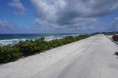 Cozumel Sahnesi 5 Haziran 2019 'da Meksika' da. Fotoğraf: Marty Jean-Louis