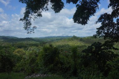 Fotoğraf: Marty Jean-Louis